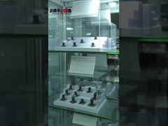 Μέσα στην Sinoseen: Κορυφαίος Κατασκευαστής Μονάδων Κάμερας στην Κίνα | Προσαρμοσμένες Λύσεις Απεικόνισης